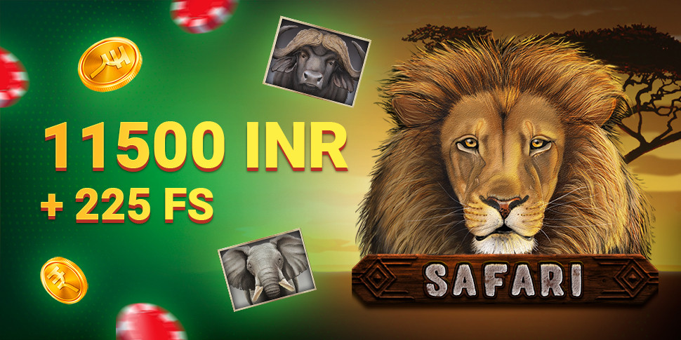 11500 INR + 225 FS in Safari